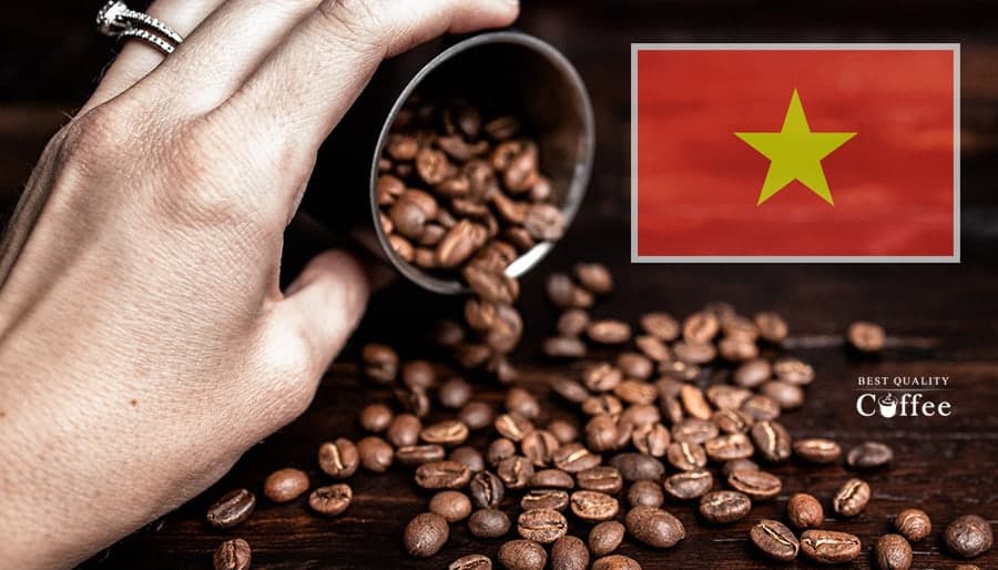 Vietnamese Coffee Brands See 70% Surge in Popularity