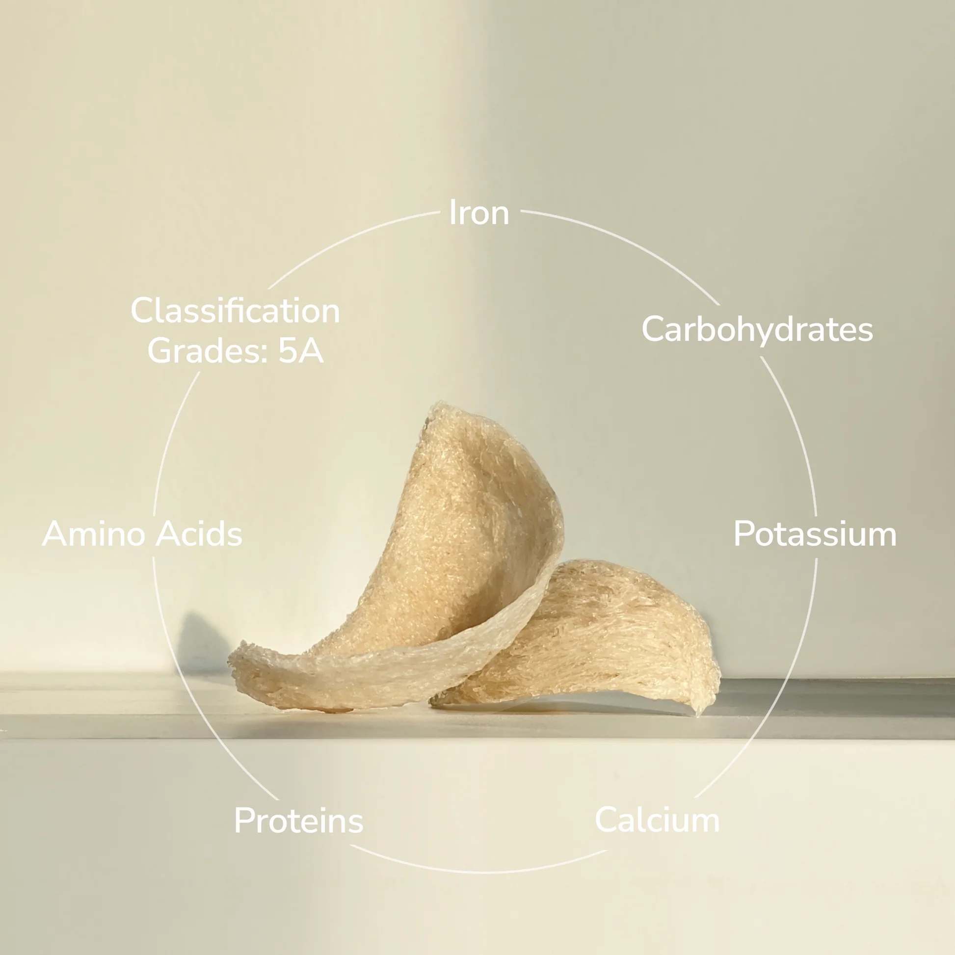 Unlocking the Health Benefits of Premium Natural Bird's Nest for Vitality