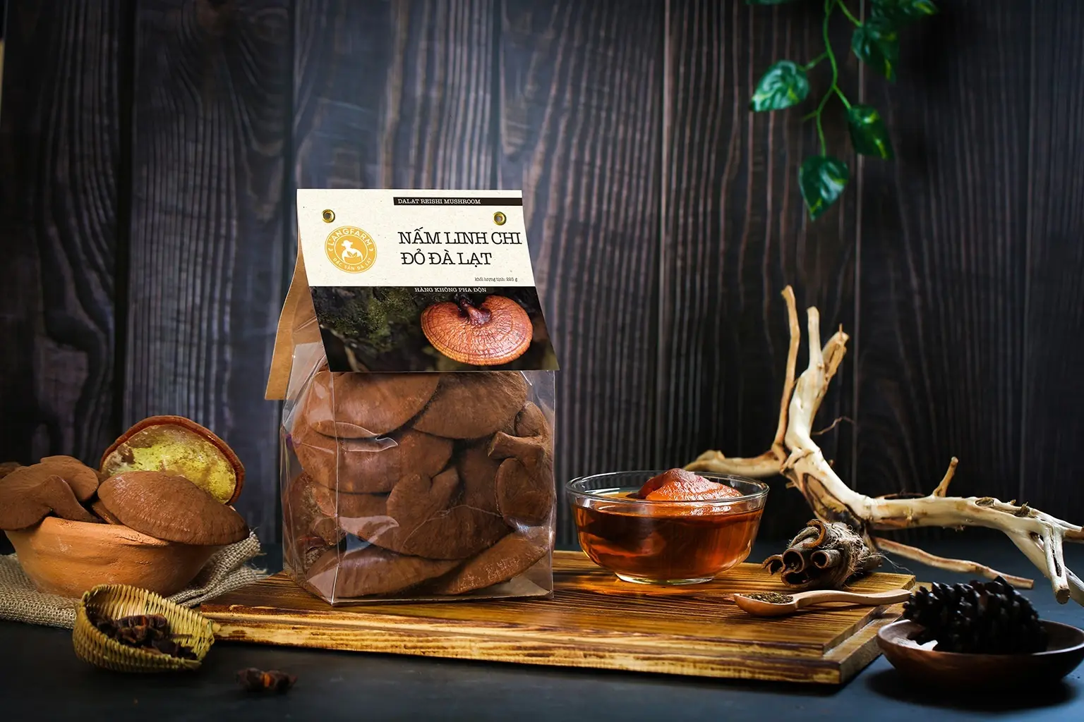 Unlocking Immunity: The Wellness Benefits of Da Lat Red Reishi Mushroom Premium Dried Herbs