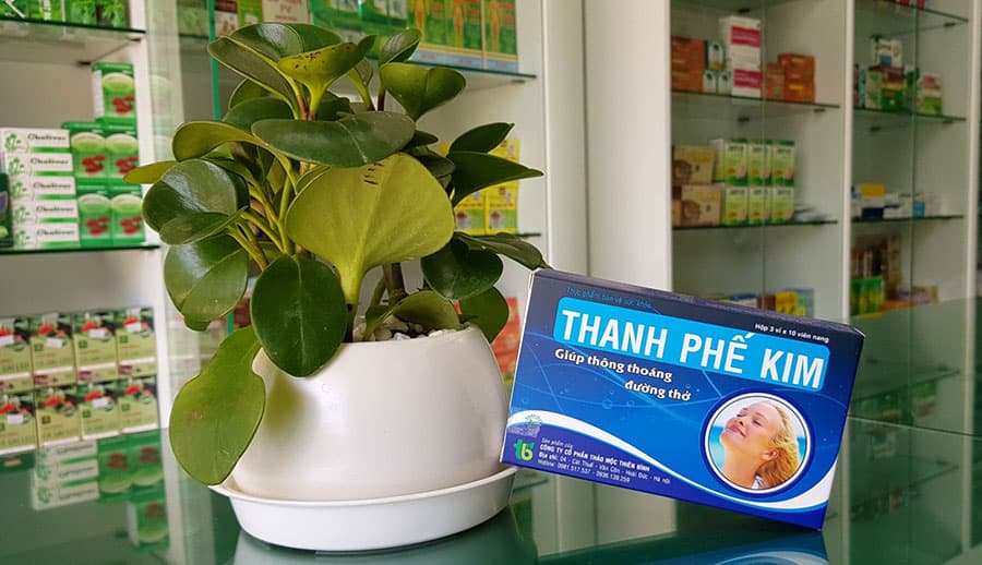 Discover the Natural Herbal Solution for Lung Health and Respiratory Comfort