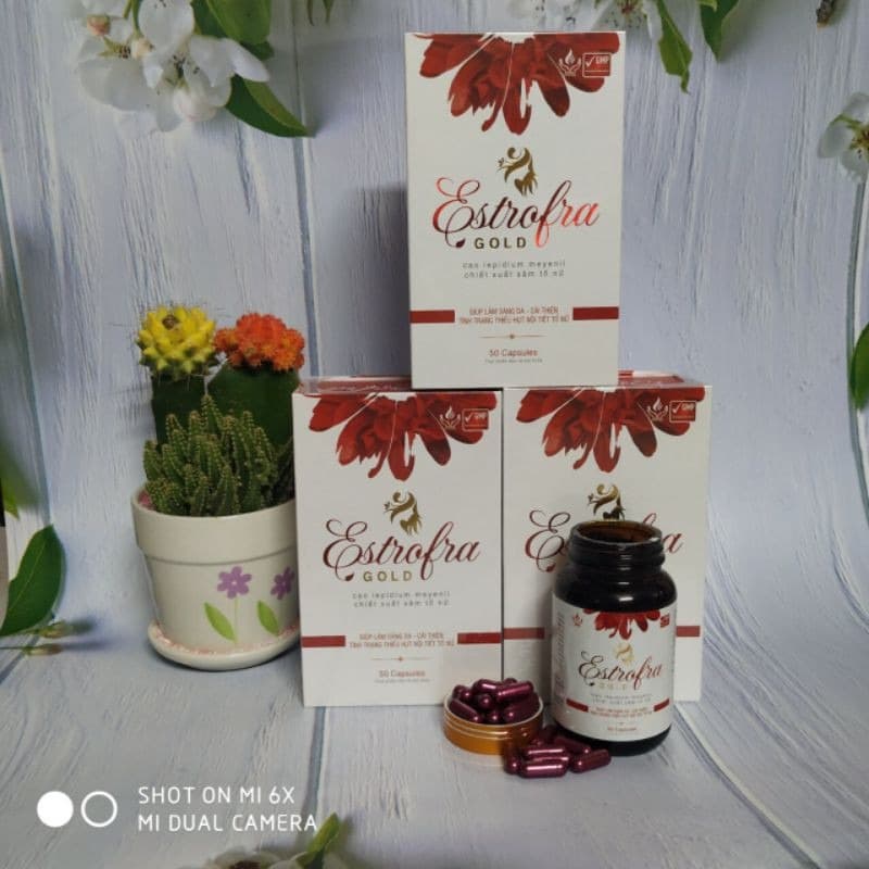 EstrofraGold Hormone Balance Supplement Natural Ingredients 50 Capsules