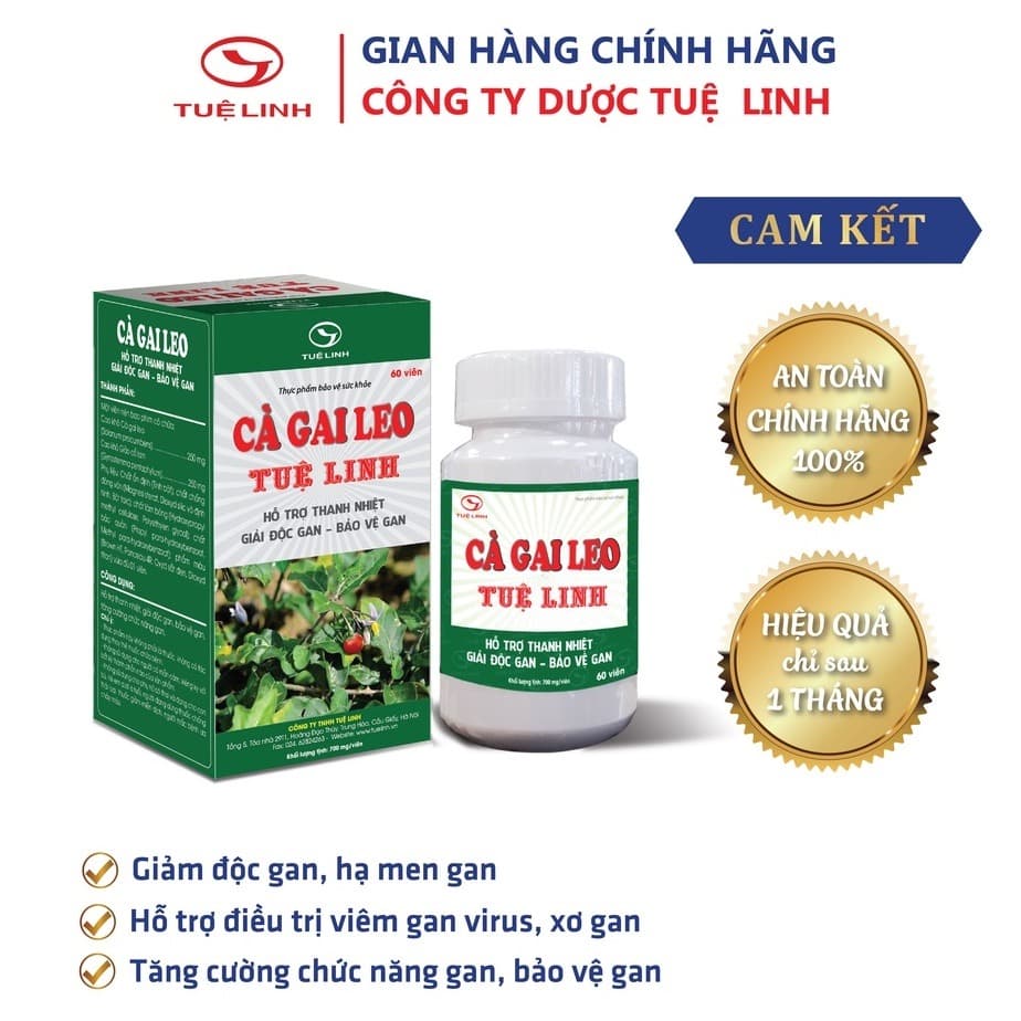 Tue Linh Cà Gai Leo Liver Support Extract 500mg 60 Capsules