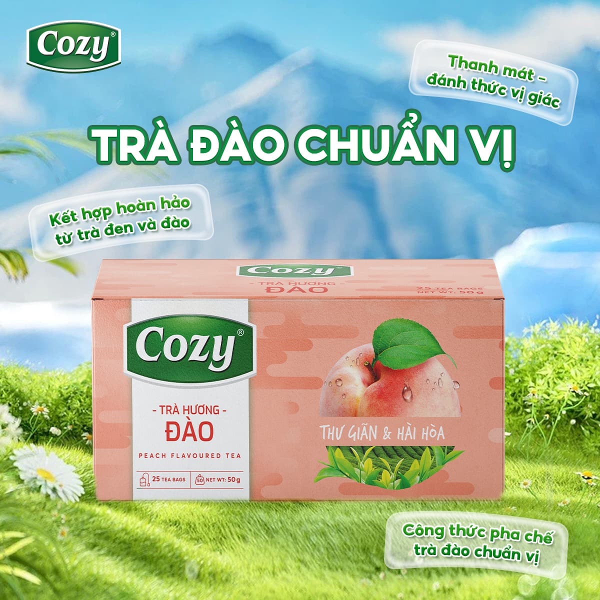 Cozy Peach Black Tea Bags Relaxing Natural Flavor 50g 25 Count